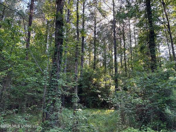 200 Acres of Land for Sale in Roxie, Mississippi