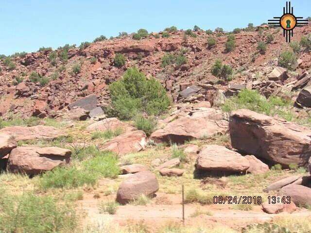 140 Acres of Land for Sale in Newkirk, New Mexico