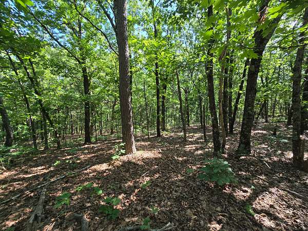 20 Acres of Land for Sale in Heavener, Oklahoma