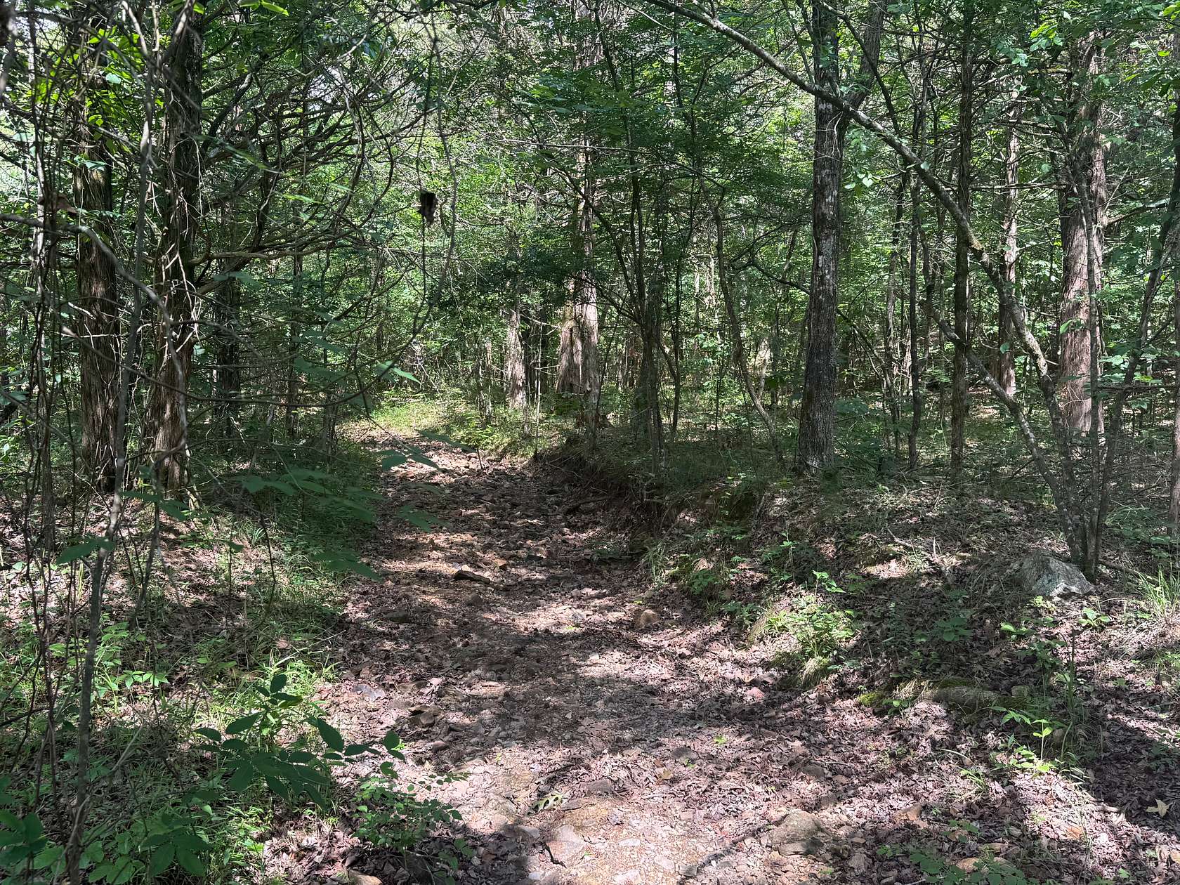 4.7 Acres of Agricultural Land for Sale in Poughkeepsie, Arkansas