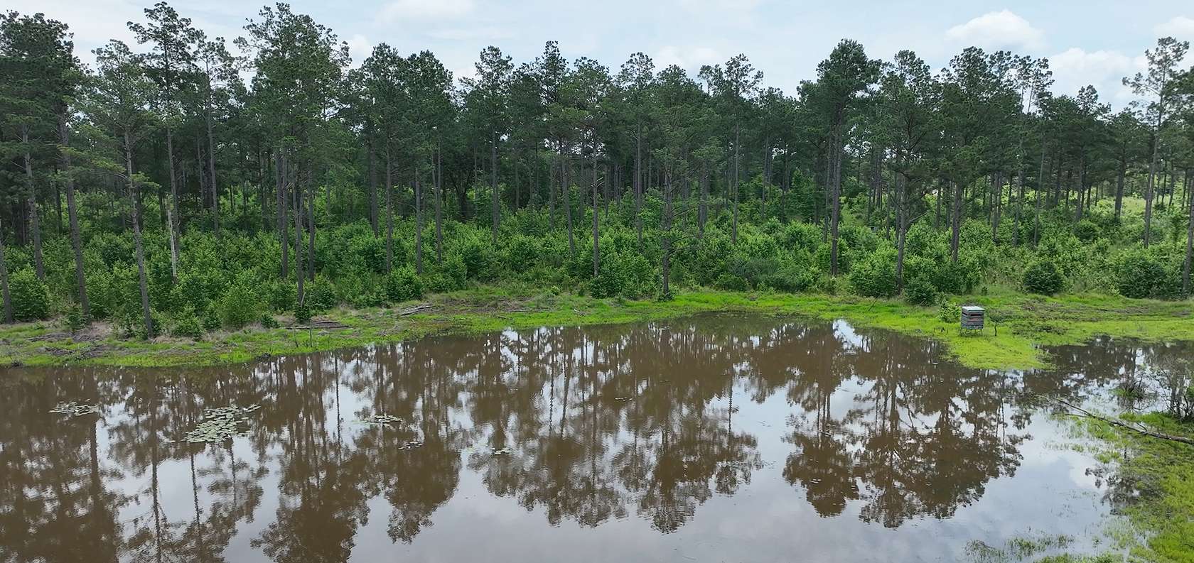133 Acres of Land for Sale in Douglassville, Texas