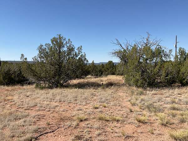 1.37 Acres of Land for Sale in Seligman, Arizona