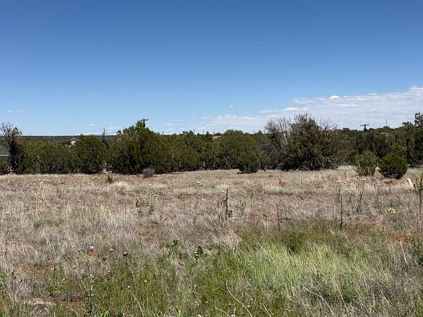 0.65 Acres of Mixed-Use Land for Sale in Show Low, Arizona
