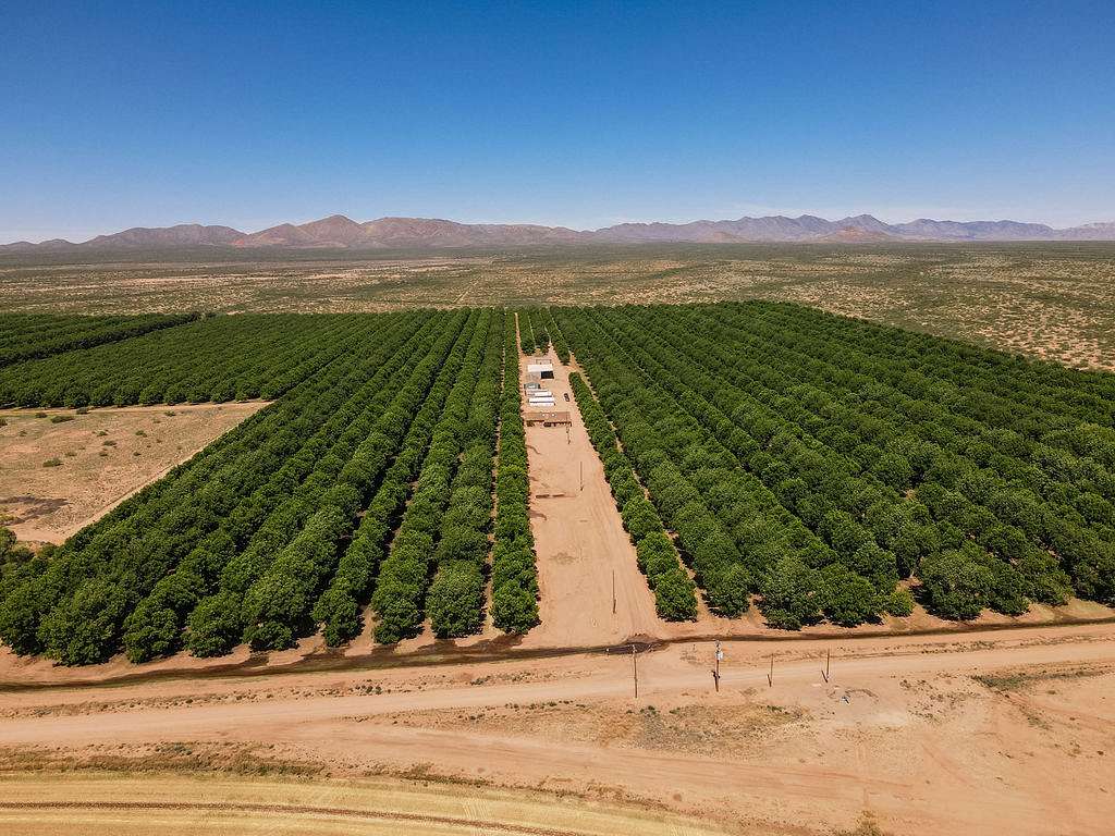 845 Acres of Land for Sale in Elfrida, Arizona