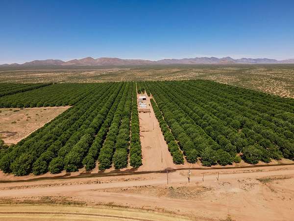 845 Acres of Land for Sale in Elfrida, Arizona