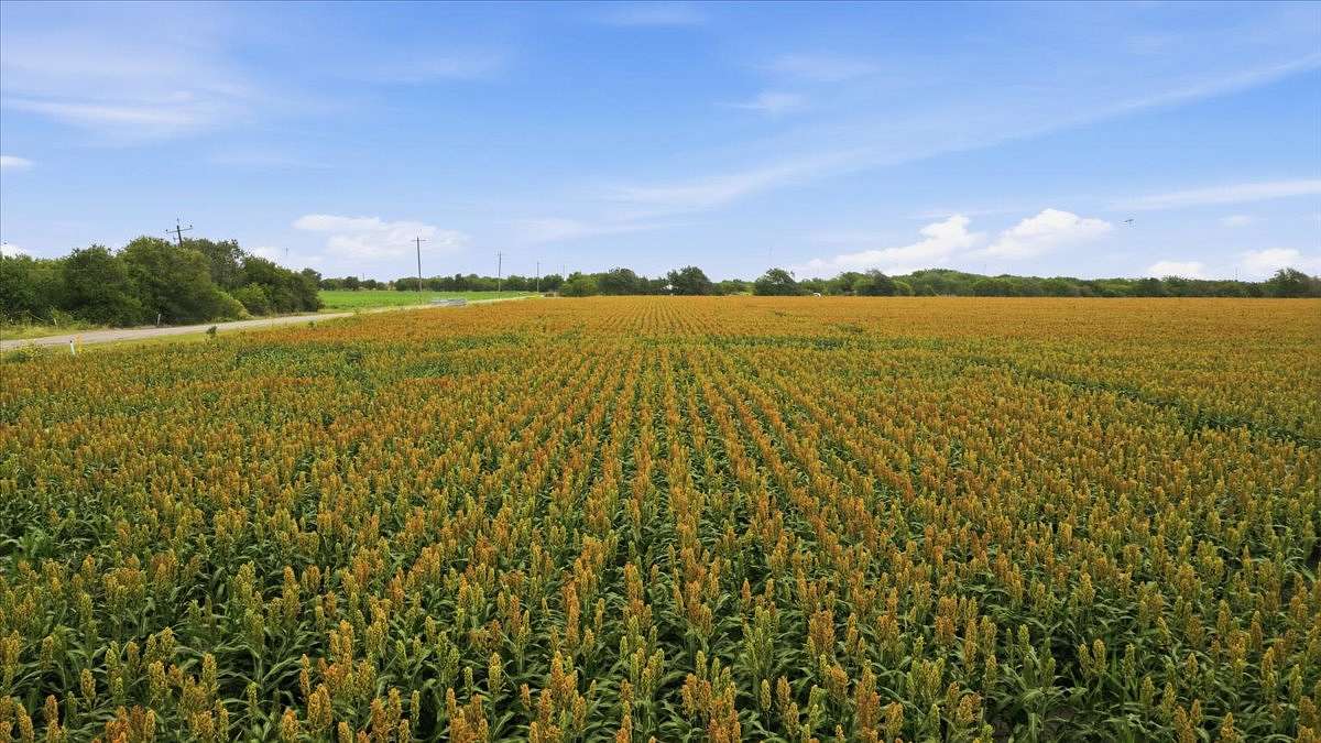 128 Acres of Agricultural Land for Sale in Portland, Texas