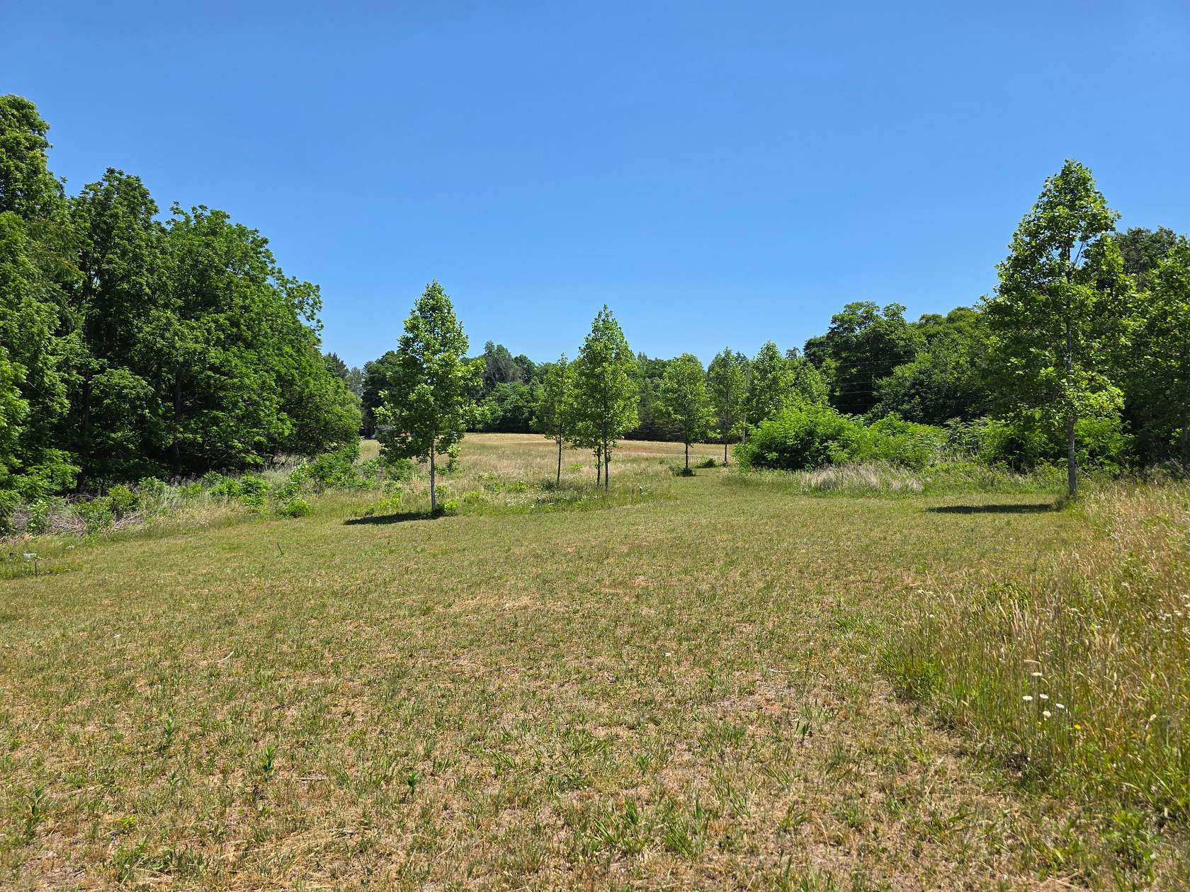 9.9 Acres of Land for Auction in Lawsonville, North Carolina