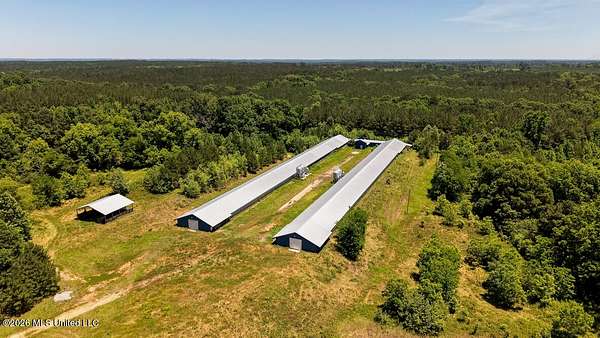 25 Acres of Agricultural Land for Sale in Hickory, Mississippi