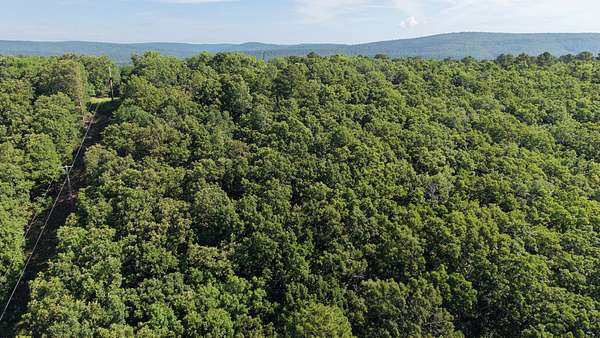 1.25 Acres of Residential Land for Auction in Wilburton, Oklahoma