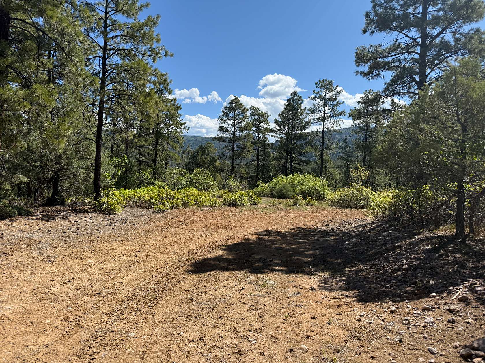 6.46 Acres of Agricultural Land for Sale in Chama, New Mexico