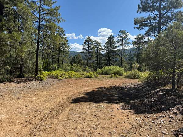 6.46 Acres of Agricultural Land for Sale in Chama, New Mexico