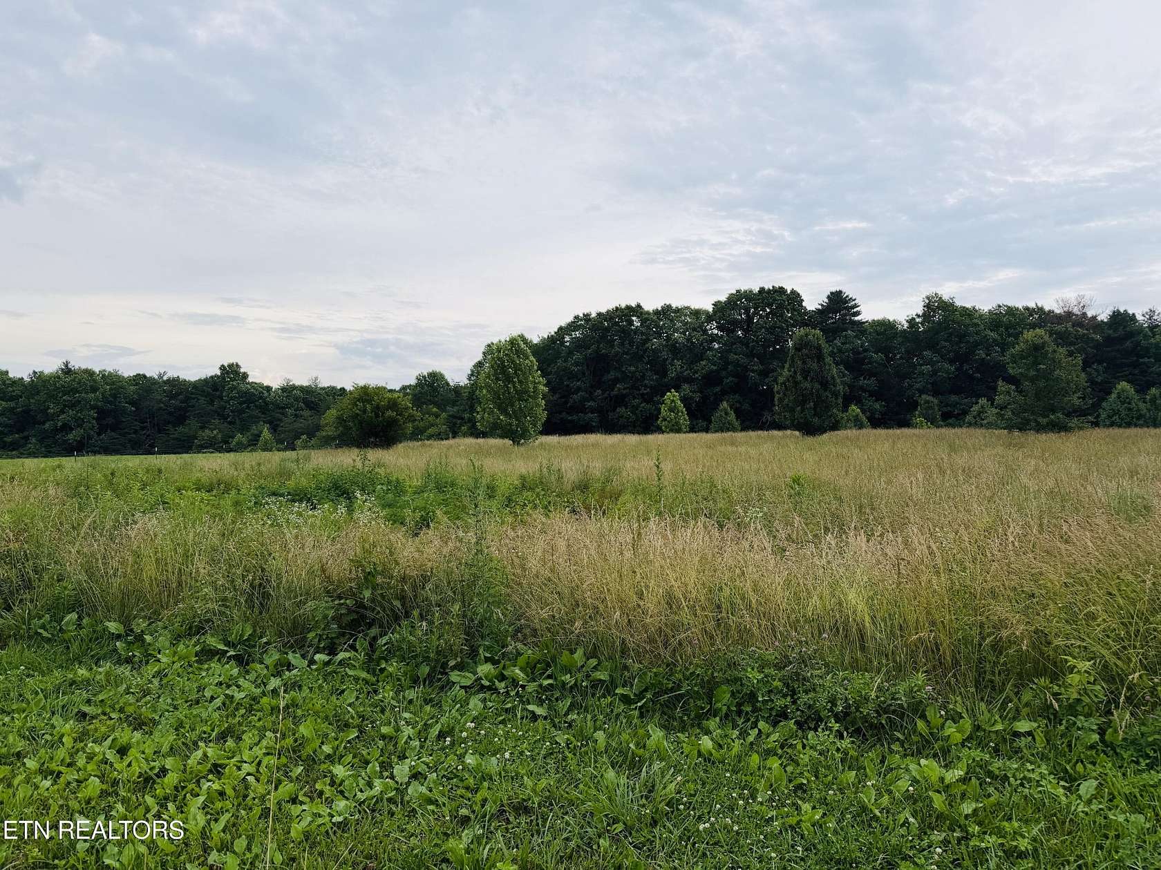 9.8 Acres of Agricultural Land for Sale in Jamestown, Tennessee