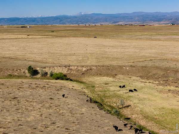 40 Acres of Land for Sale in Wellington, Colorado