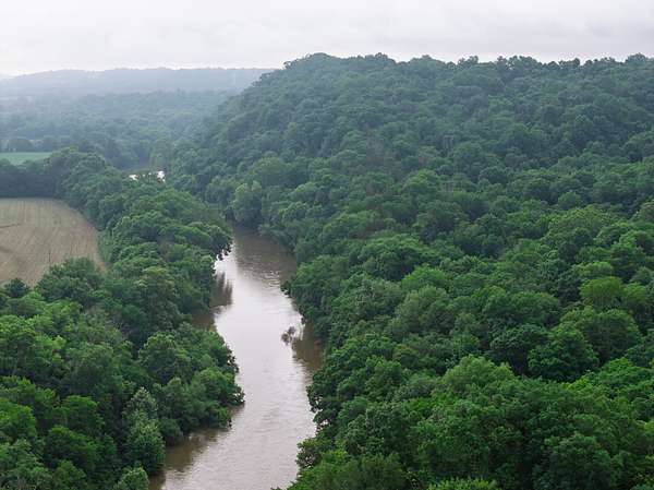 67 Acres of Land for Sale in Williamsport, Tennessee