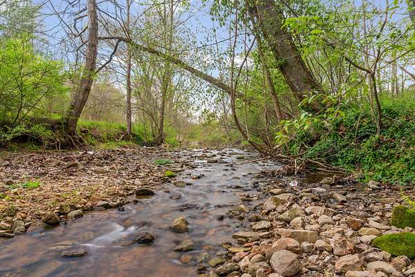 20.7 Acres of Recreational & Residential Land for Sale in Erin, Tennessee