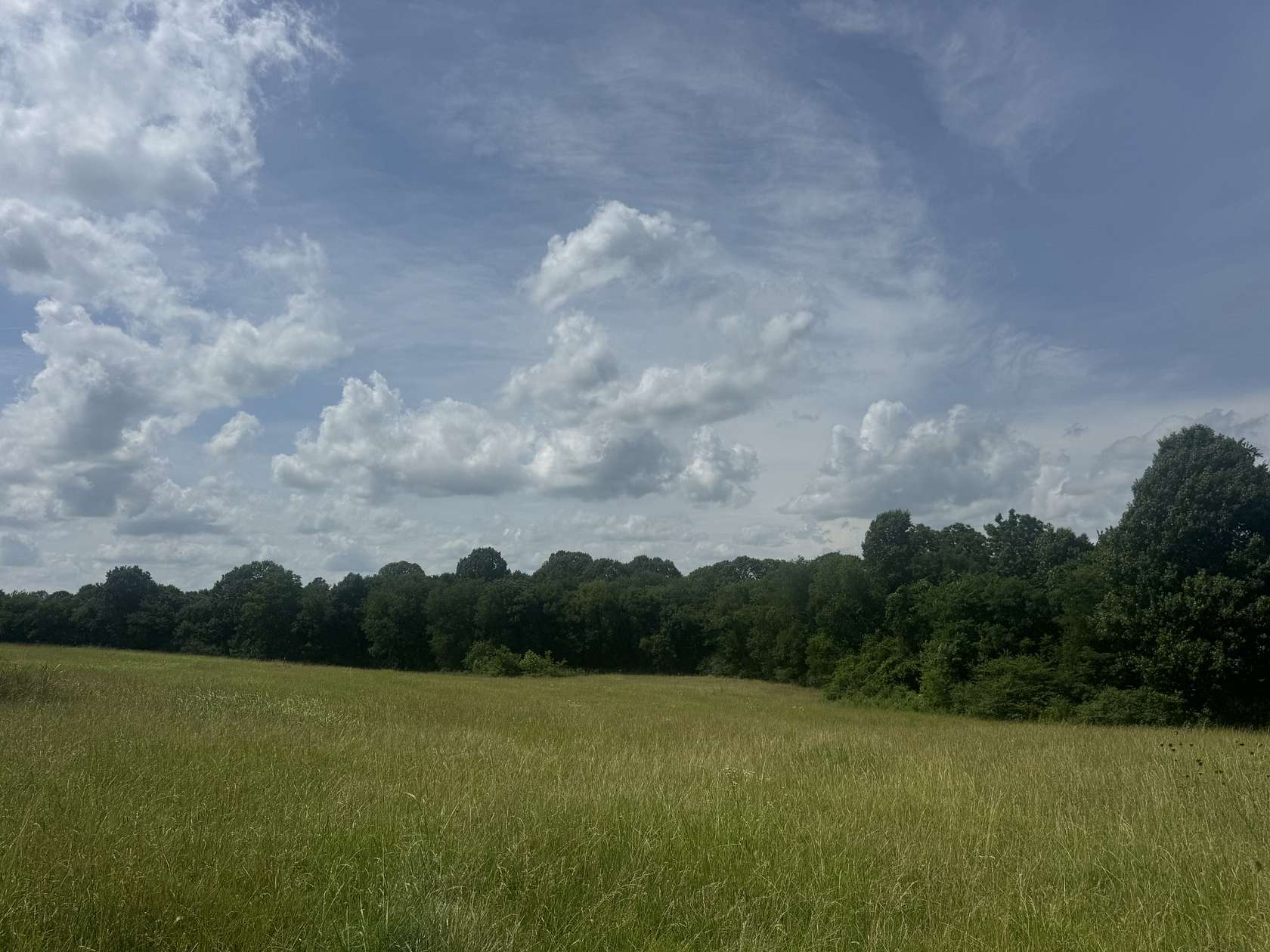 11 Acres of Land for Sale in Shelbyville, Tennessee