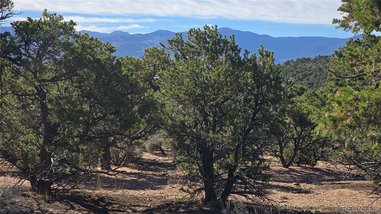 5.17 Acres of Residential Land for Sale in Fort Garland, Colorado
