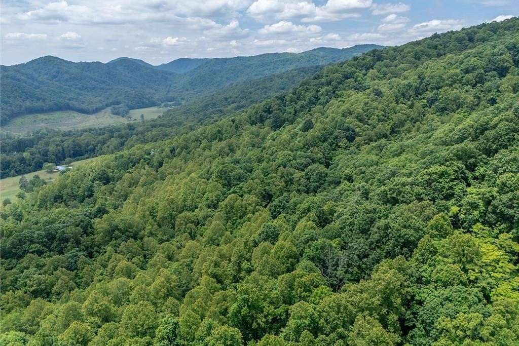 72.9 Acres of Land for Sale in Stuart, Virginia
