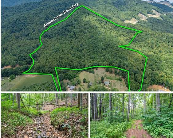 72.9 Acres of Land for Sale in Stuart, Virginia