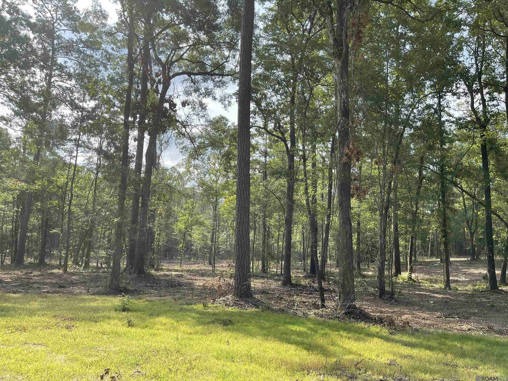 5.14 Acres of Residential Land for Sale in Clinton, Louisiana