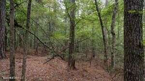 41 Acres of Recreational & Residential Land for Sale in Lena, Mississippi