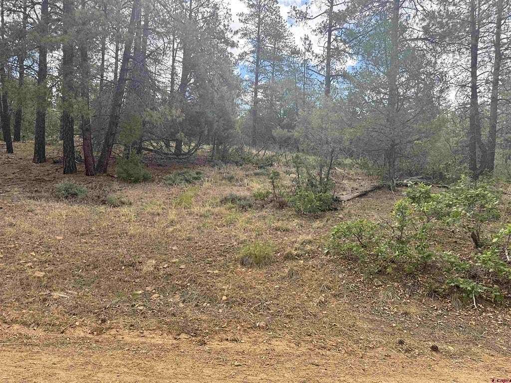 1 Acre of Residential Land for Sale in Pagosa Springs, Colorado