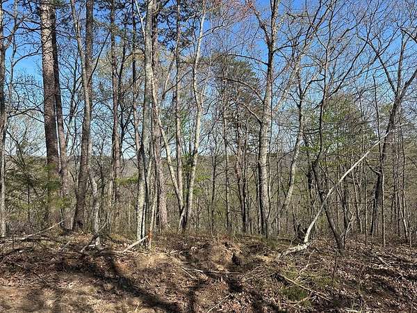 5.84 Acres of Residential Land for Sale in Wilder, Tennessee