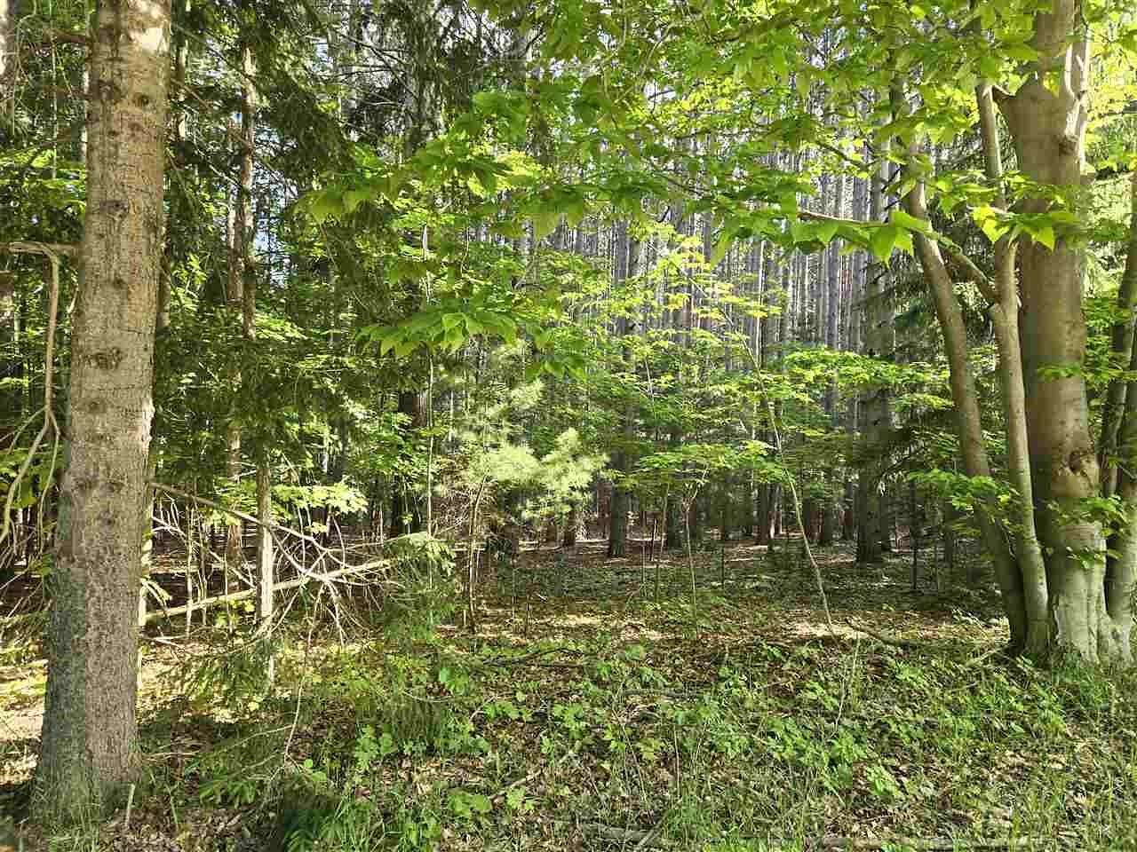 0.5 Acres of Residential Land for Sale in East Jordan, Michigan