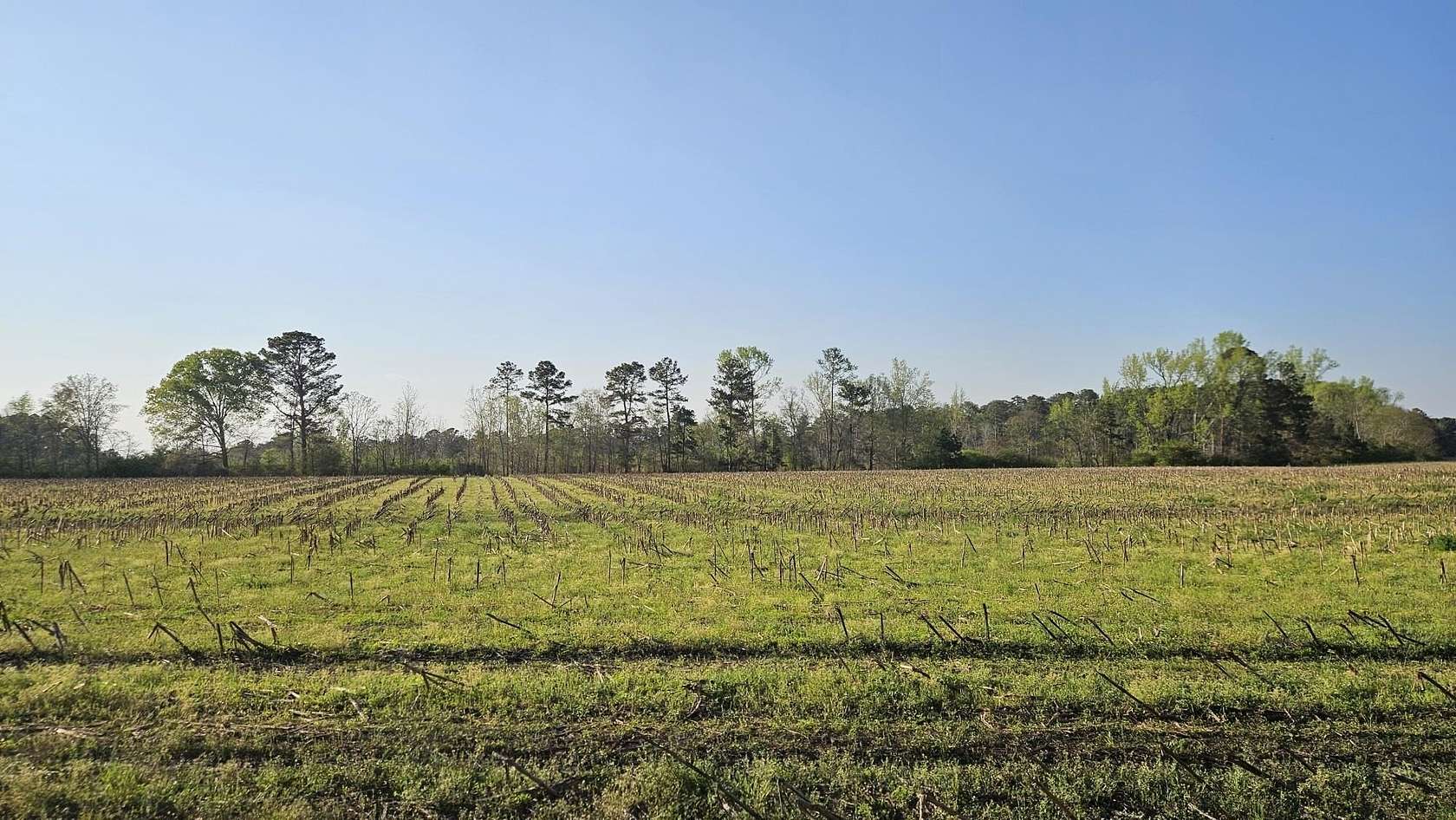 23.2 Acres of Land for Sale in Greensboro, Georgia