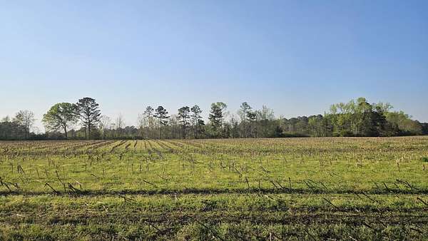 23.2 Acres of Land for Sale in Greensboro, Georgia