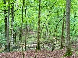 20.9 Acres of Recreational & Residential Land for Sale in Bruce, Mississippi