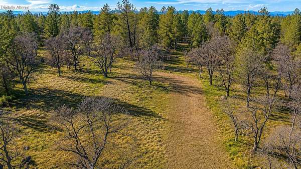 15 Acres of Land for Sale in Shingletown, California