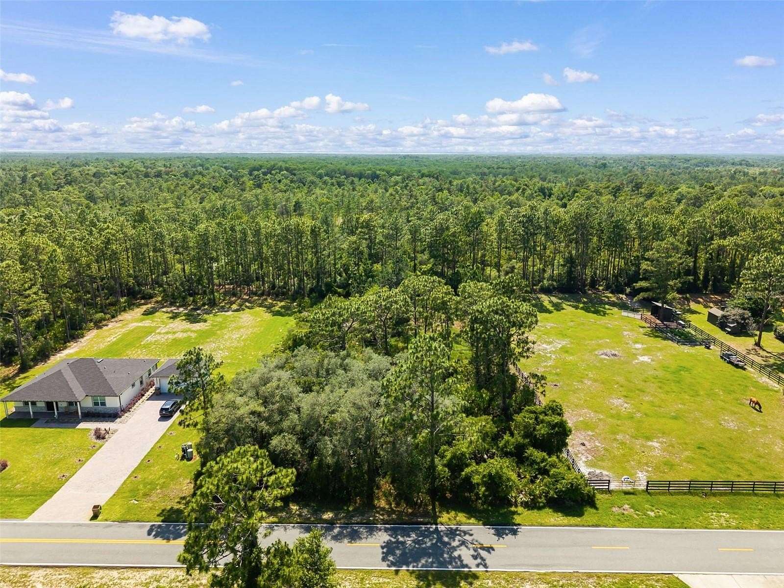 1 Acre of Residential Land for Sale in Eustis, Florida