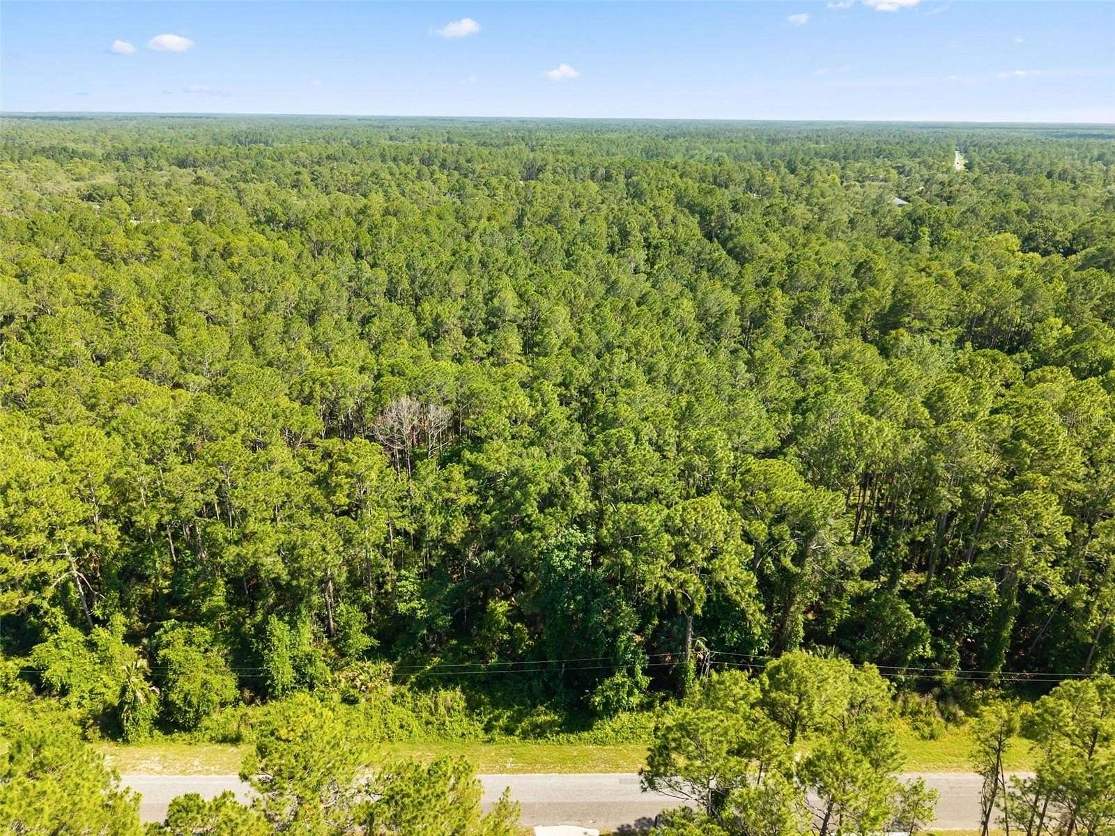 1 Acre of Residential Land for Sale in Eustis, Florida