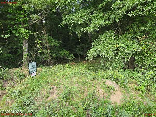 18.7 Acres of Land for Sale in Macon, Georgia