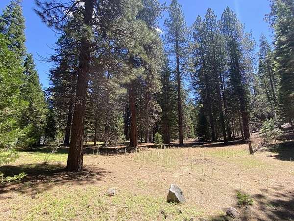 2.62 Acres of Residential Land for Sale in Mount Shasta, California