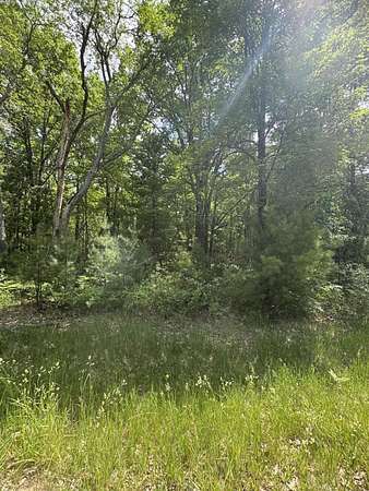 3.6 Acres of Residential Land for Sale in Brohman, Michigan