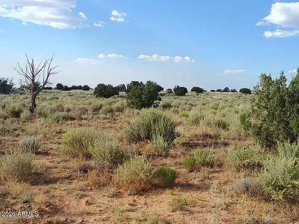 40 Acres of Land for Sale in Snowflake, Arizona
