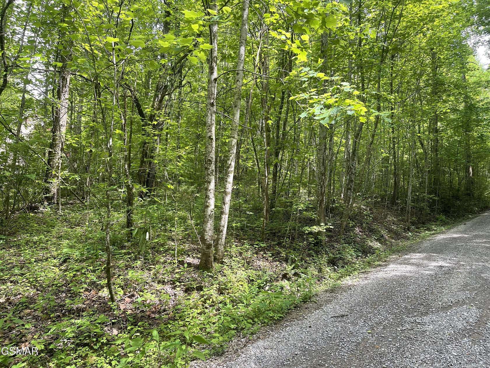 1 Acre of Residential Land for Sale in Sevierville, Tennessee