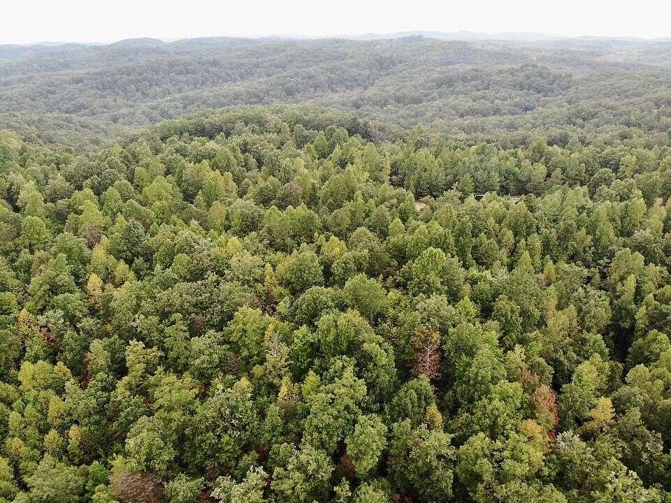 305 Acres of Recreational Land for Sale in Berea, Kentucky