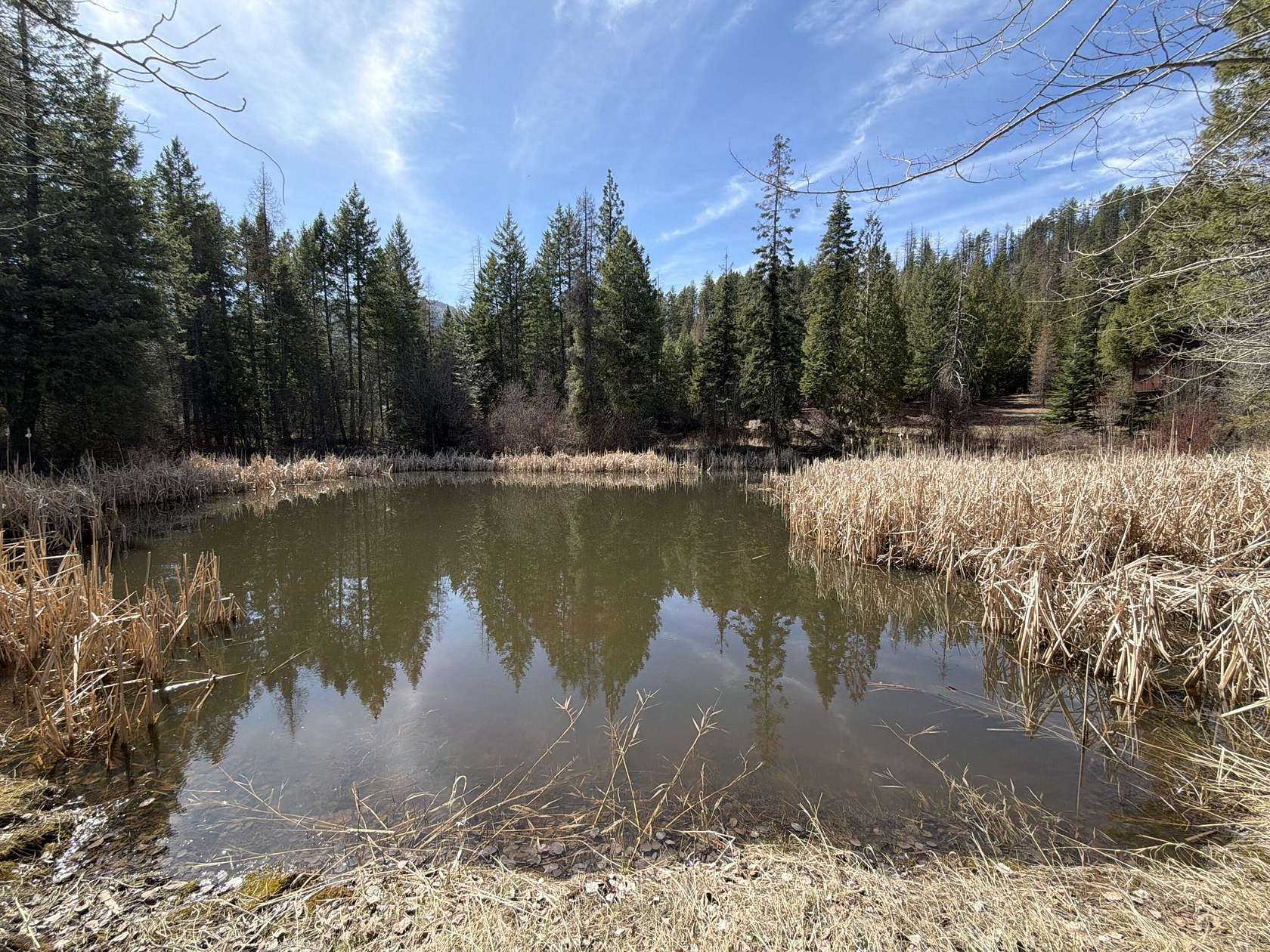 63.8 Acres of Recreational Land for Sale in Addy, Washington