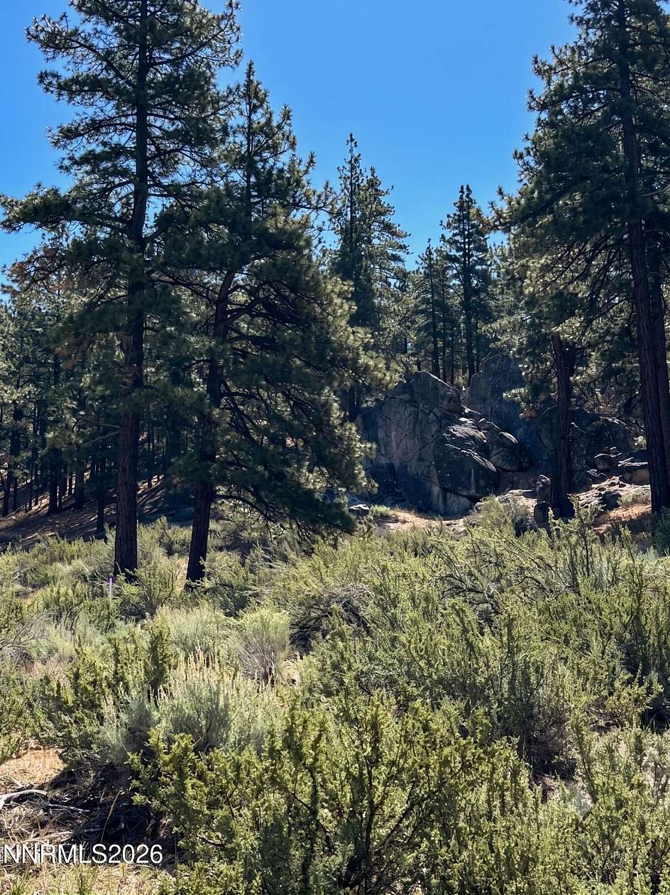 1.47 Acres of Residential Land for Sale in Carson City, Nevada