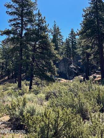 1.47 Acres of Residential Land for Sale in Carson City, Nevada