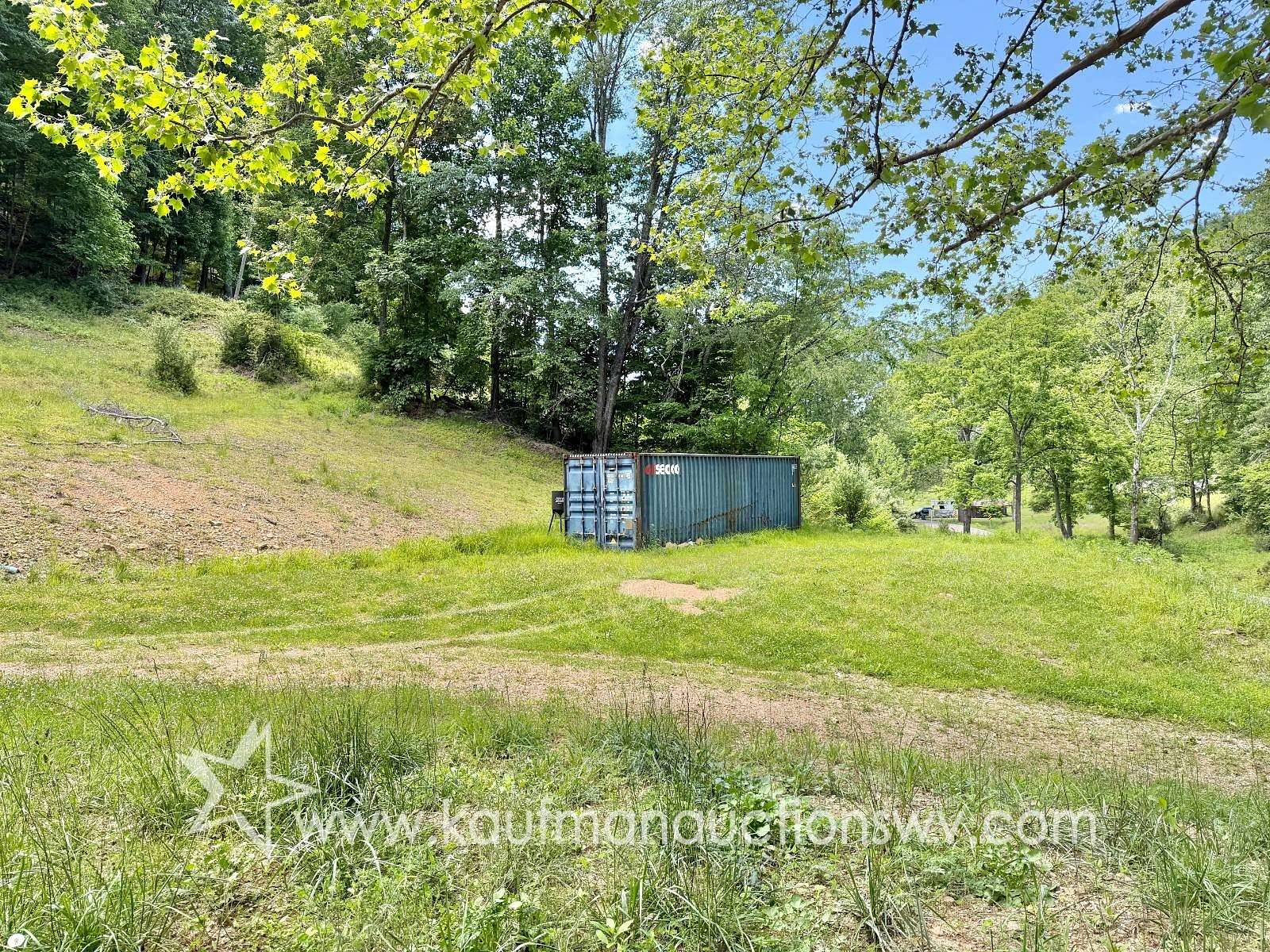 24 Acres of Recreational & Residential Land for Auction in Copen, West Virginia
