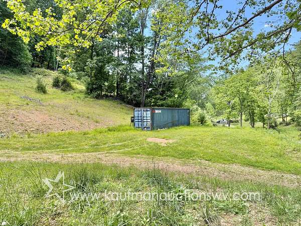 24 Acres of Recreational & Residential Land for Auction in Copen, West Virginia