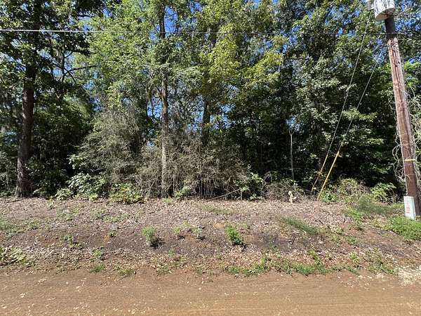 0.6 Acres of Land for Sale in Many, Louisiana