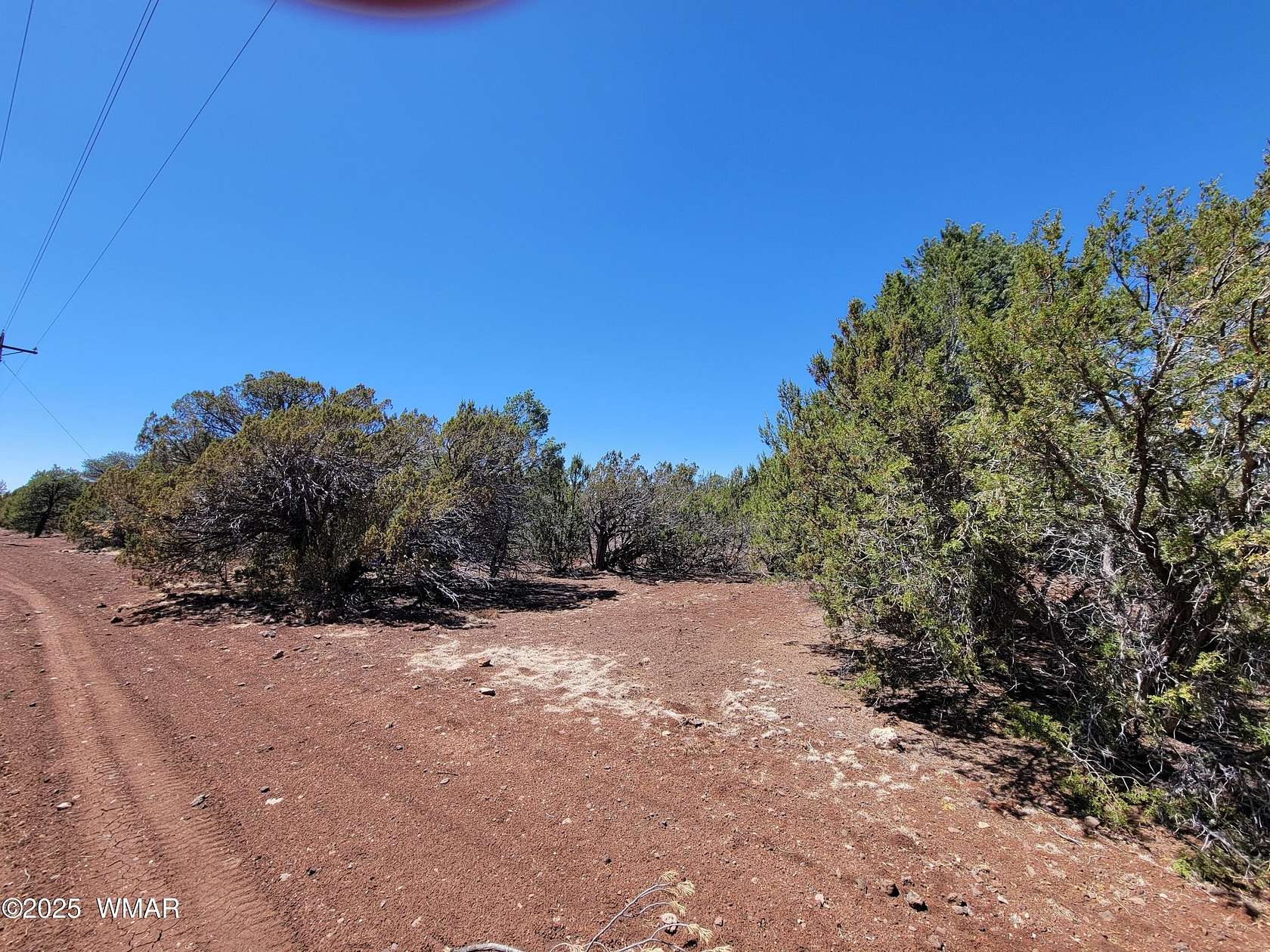 53.5 Acres of Recreational & Residential Land for Sale in Vernon, Arizona