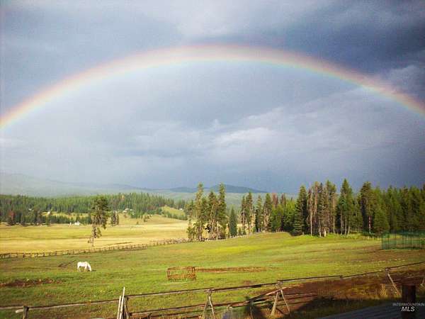 14.6 Acres of Land with Home for Sale in Elk City, Idaho