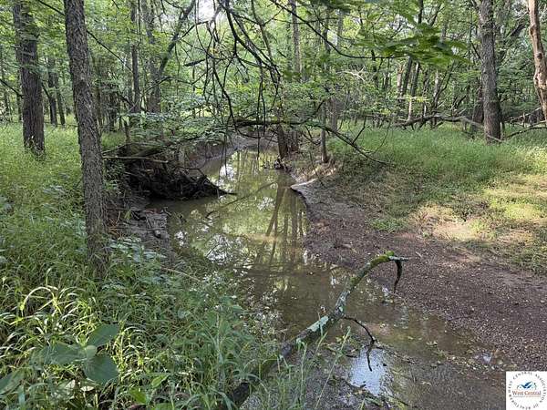 78.1 Acres of Land for Sale in Montrose, Missouri