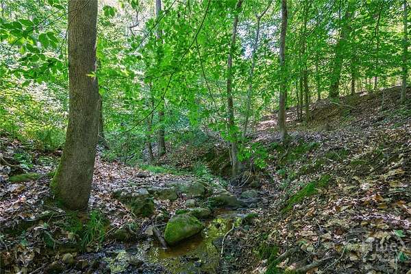 28 Acres of Recreational & Residential Land for Sale in Crawfordville, Georgia